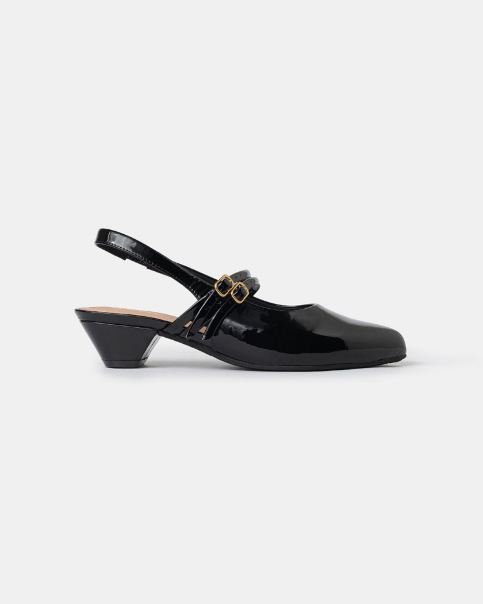 Aria Double Strap Pointy Toe Mary Jane