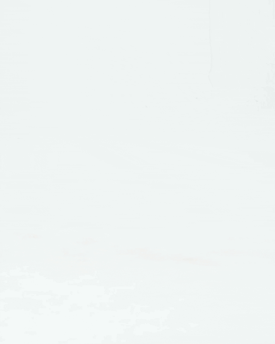 Camille Classic Ballet Flats