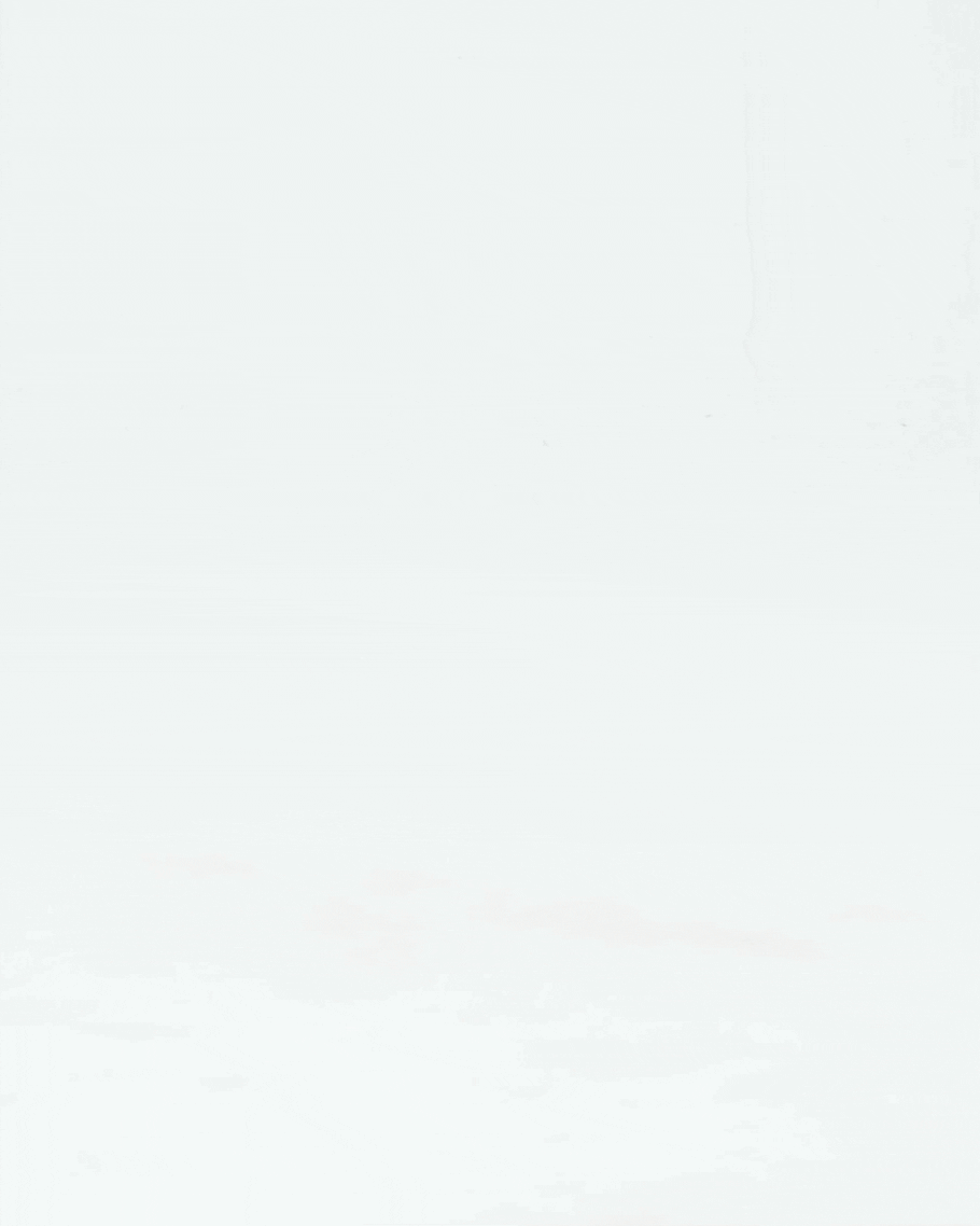 Chloe Classic Ballet Flats
