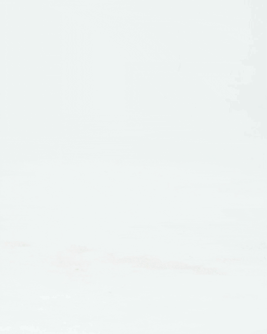 Chloe Classic Ballet Flats