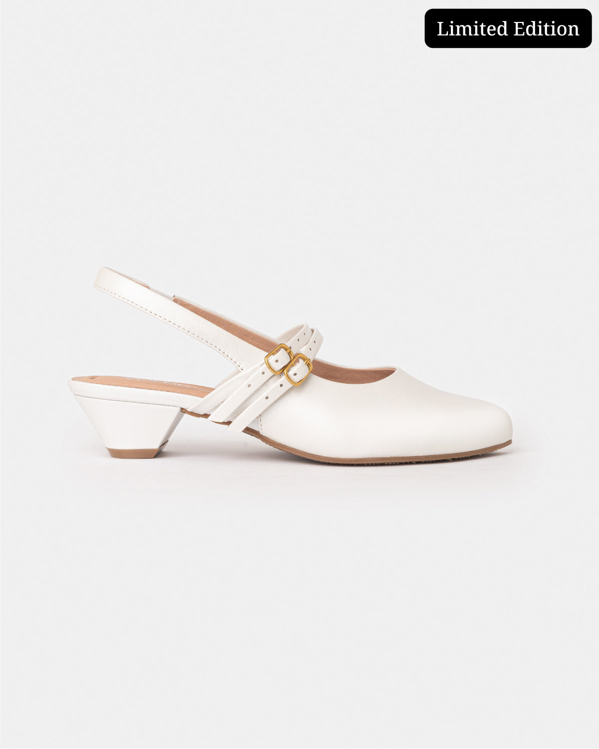 Aria Double Strap Pointy Toe Mary Jane