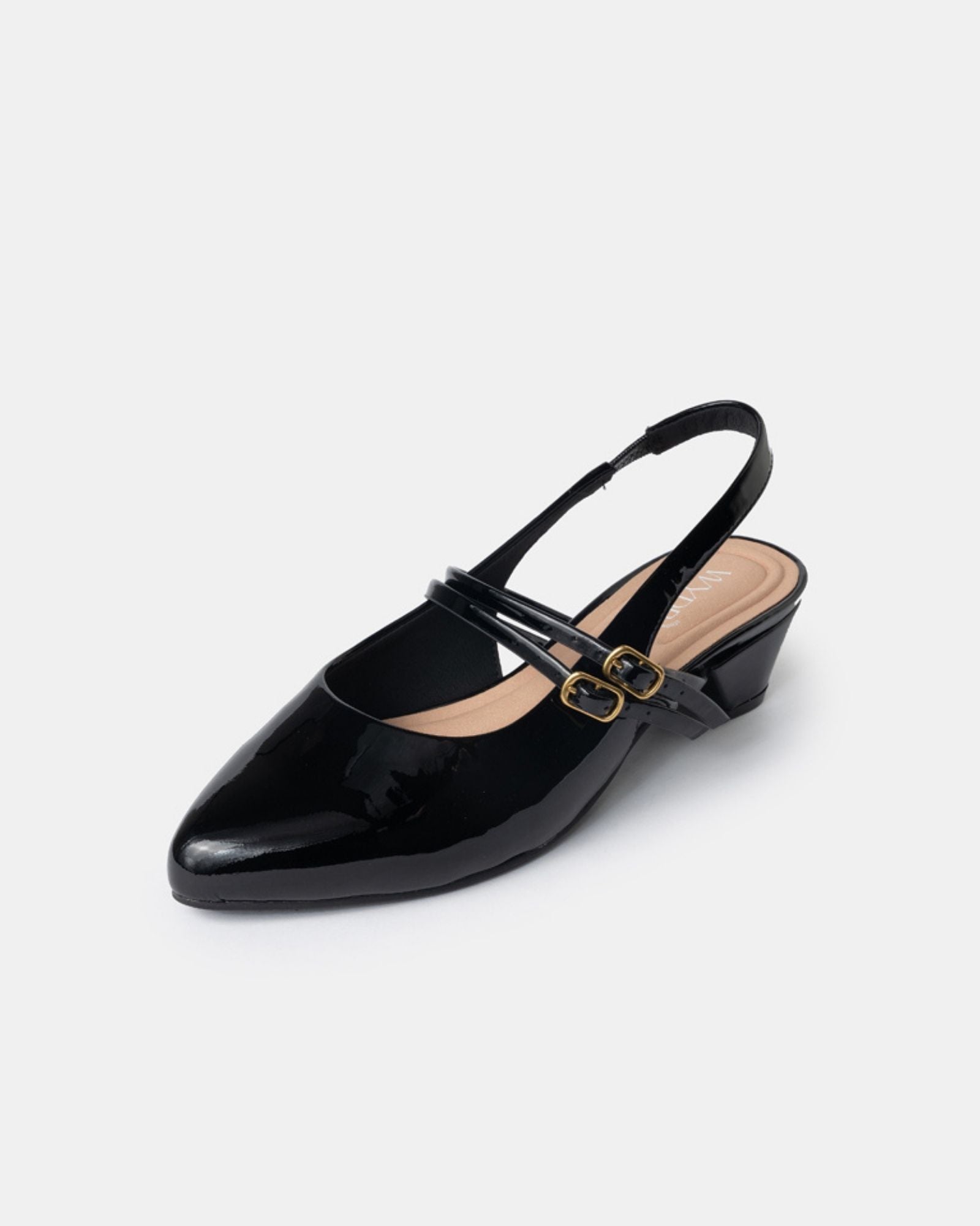 Aria Double Strap Pointy Toe Mary Jane