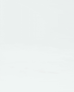 Celeste Ballerina Flats
