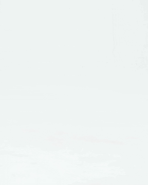Chloe Classic Ballet Flats
