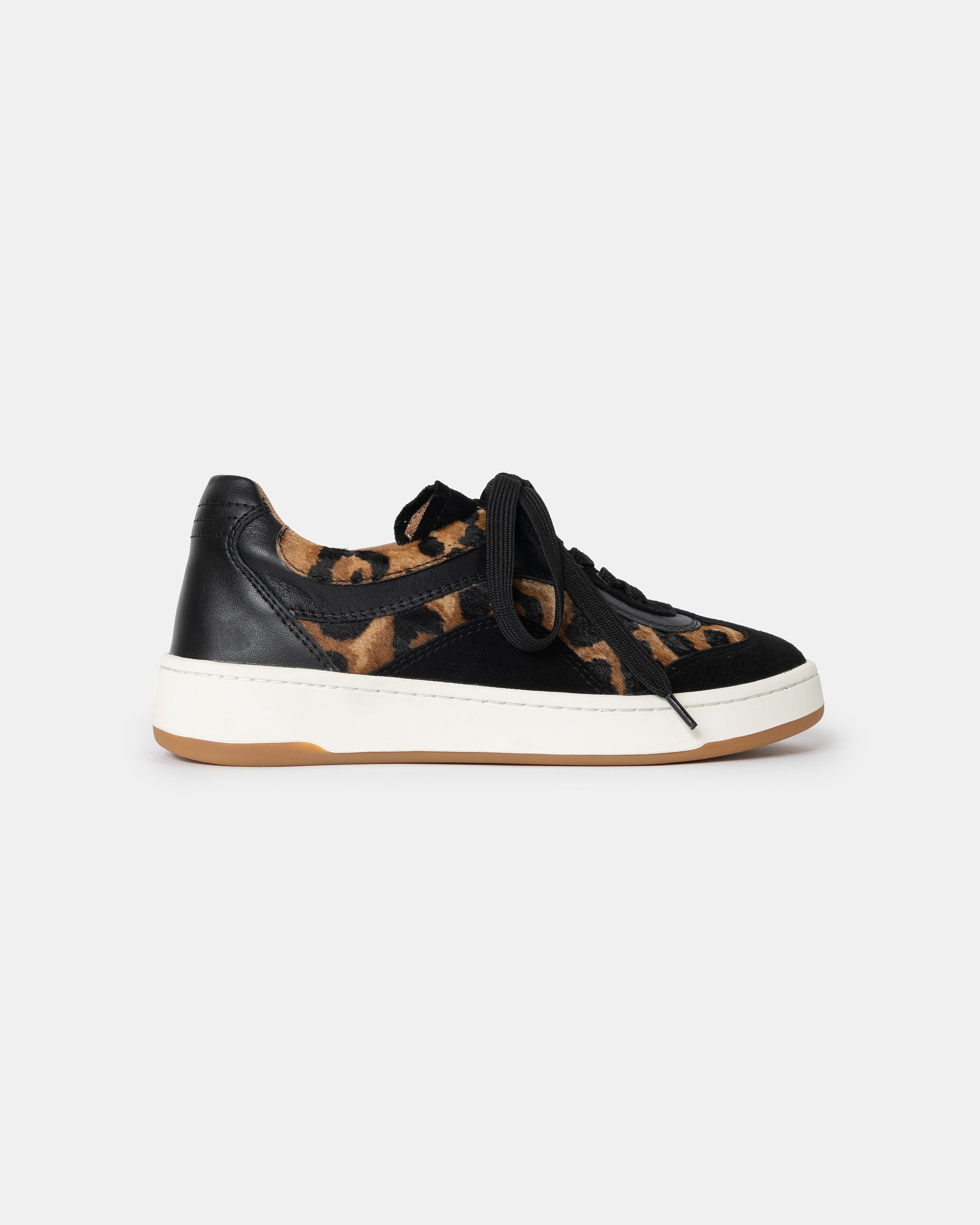 #Color_Leopard