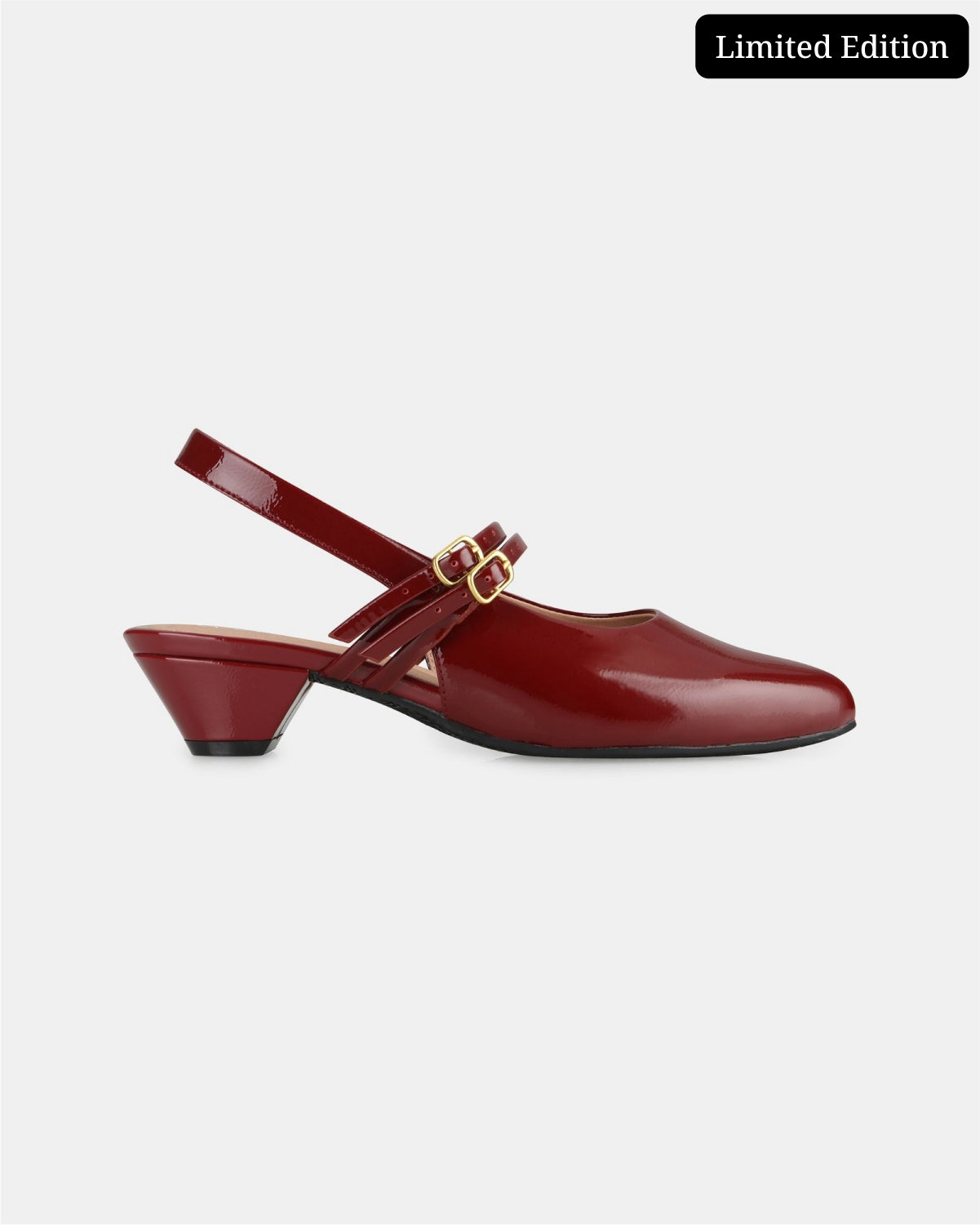 Aria Double Strap Pointy Toe Mary Jane